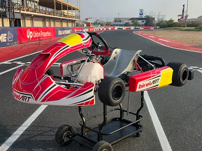 BIREL ART 125cc ROTAX EVO GO KART