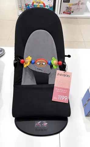 Baby bjorn bouncer