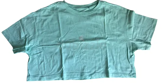 Light Cyan Cropped T-Shirt, Casual Basic T