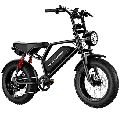 Wind Horse V8 Mini Electric Bike, 750W, V8 Mini