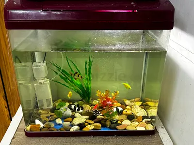 aquarium