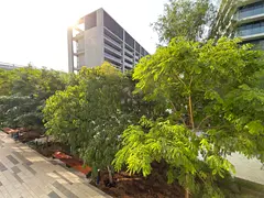 Furnished Studio | Garden View | Free Gym & Pool