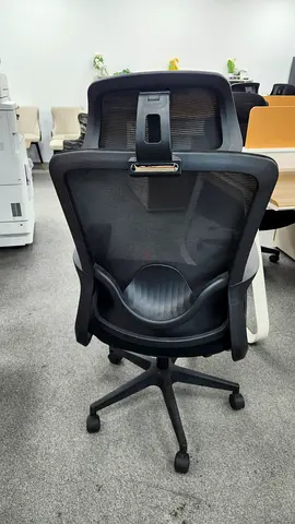 Ergonomic Mesh Office Chair with Lumbar Support and Wheels — Good Condition