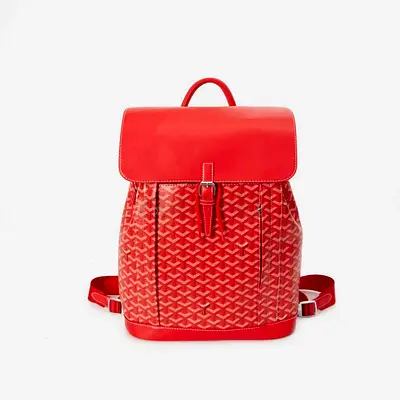 Goyard designer-style backpack with patterned body and leather flap