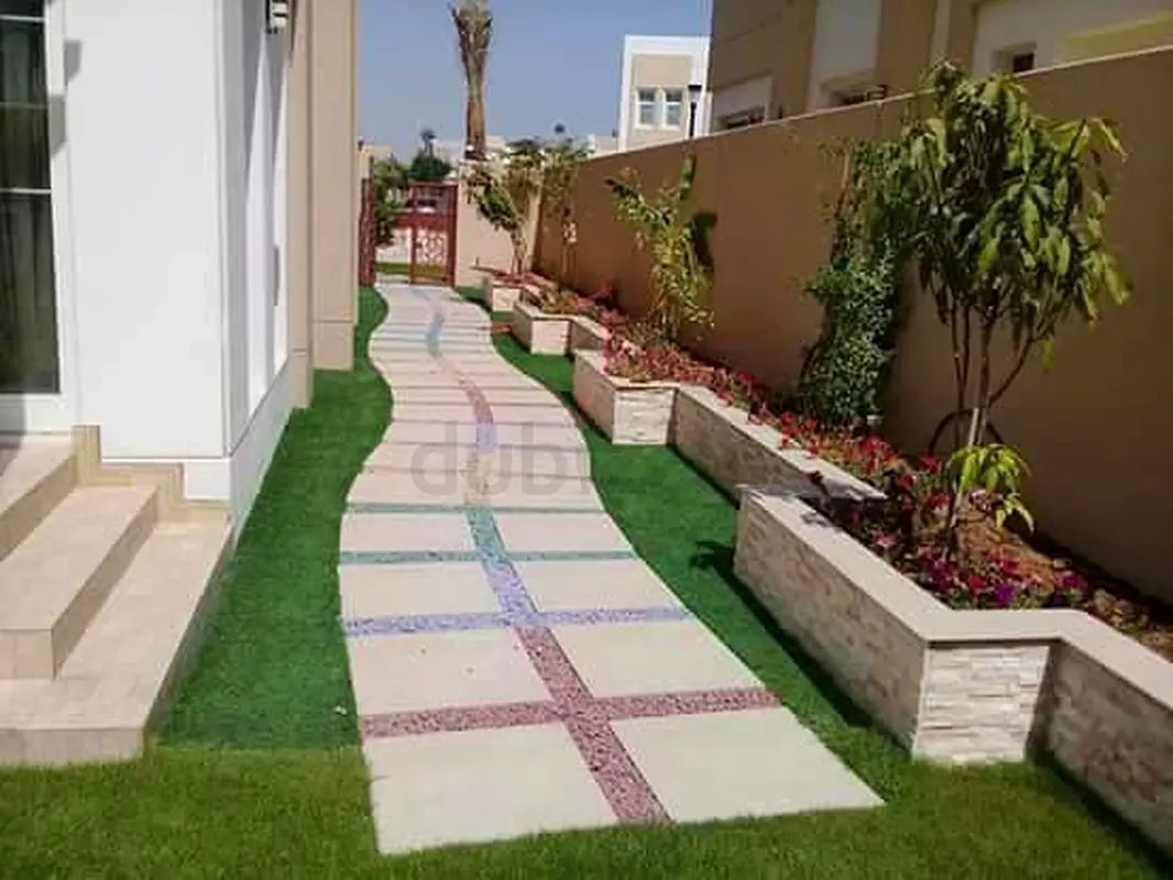 DPV_View_Image_0