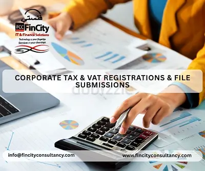 TAXATION SUPPORT SOFTWARE FTA AMMENDMENT FILE SUBMISSION SERVICES UAE