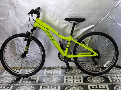 Fuji 24 inch mtb kids bike