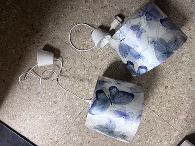 2 light shade with ceiling fixture