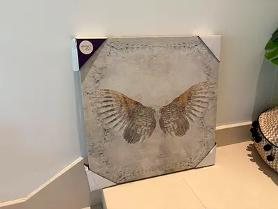 Decorative Wing Wall Art Canvas - Neutral Toned Canvas - 51 x 51 cm