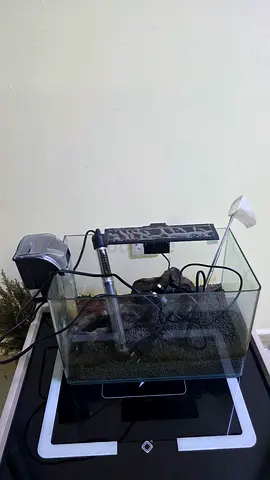 Small glass aquarium kit with filter and heater - used
