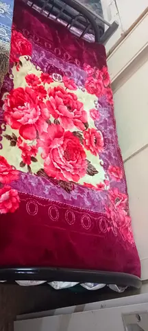 Bed Space Available