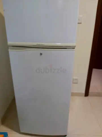 Toshiba 'Fabulous' Double Door Refrigerator for sale