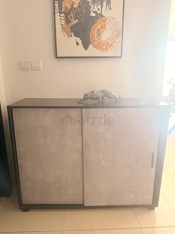 Modern Sideboard shoe cabinet