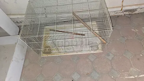 Used medium bird cage with perches and tray - needs cleaning