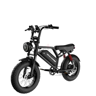 Wind Horse V8 Mini Electric Bike, 750W, V8 Mini