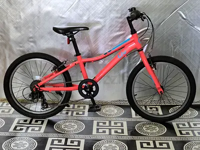 Liv kids bike 20 inch