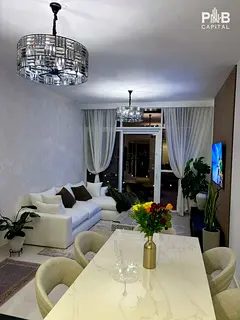Fully Furnished | Premium Tower |