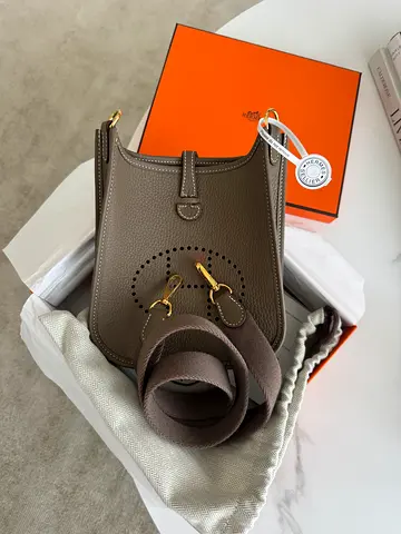 Hermes mini Evelyn brand New with Invoice