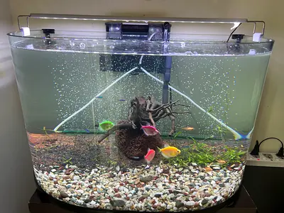 100 Litre Aquarium Tank with Lights, Filter and Oxygen Pump, Soil Ready for Aquascaping