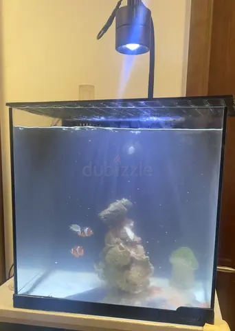 Used 2 year old Reef Tank | Nano Salt Water Tank