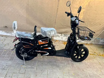 Electric Scooters