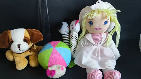 Lot of Soft Toys: Plush Dog, Rag Doll, Ball and Rattles - Good Condition