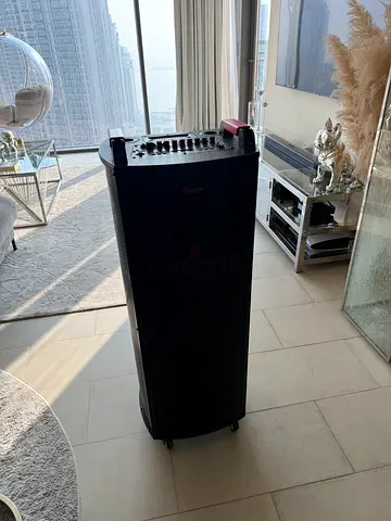 Portable Karaoke/PA Speaker with Built-in Mixer - Good Condition
