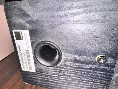 SVS Atmos Speakers