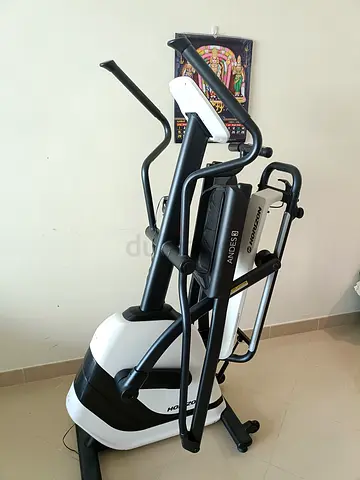 Horizons Andes 3 Elliptical - Good Condition