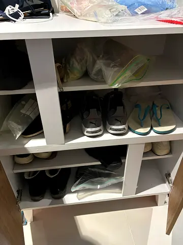2 door shoe cabinet for sale