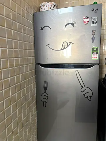 LG Double Door Refrigerator - 2-Door Fridge (Good Working Condition)