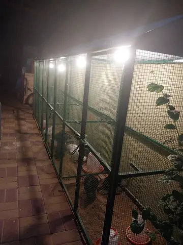 Brand new cage