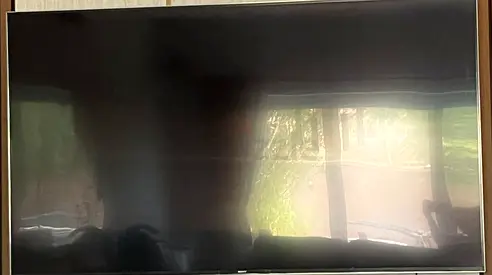 Sony BRAVIA 75” 4K Smart TV