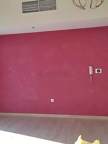 HOME PAINTINGS SERVICES VERY DISCOUNT PRICE