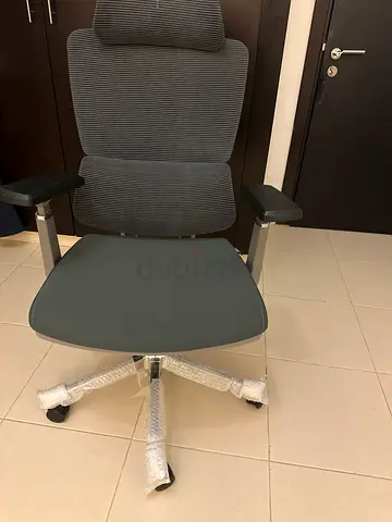 Ergonomic Office Chair with Armrests — Good Condition
