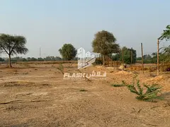 FARM FOR SALE \ RAK \ AL MAQURAH