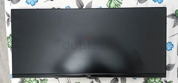 29 inch Dell Monitor - Good Working Condition