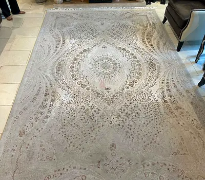 Light beige Persian-style area rug -(good condition)