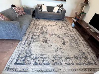 Large vintage-style grey and beige area rug — excellent condition