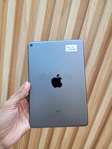 Ipad mini 5