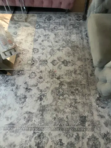 Light grey patterned area rug - excellent condition