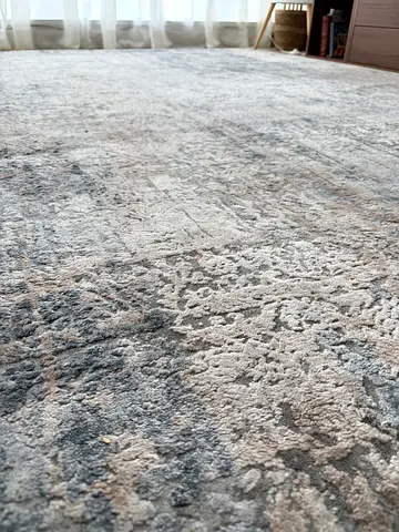 Large Gray Rug
