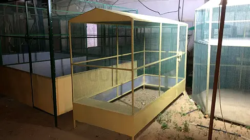 Cage