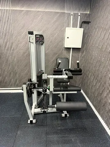 Leg extension leg curl combo