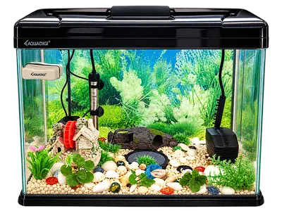 XiLONG Aquarium Starter Kit with Filter, Heater, Air Pump & Accessories