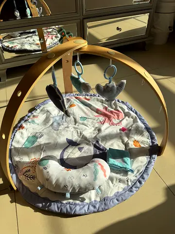 Wooden Arch Baby Play Gym with Soft Activity Mat and Pillow