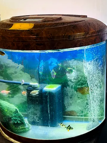 XiLONG Aquarium Starter Kit with Filter, Heater, Air Pump & Accessories