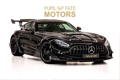 Mercedes AMG GT Black Series | European Specs