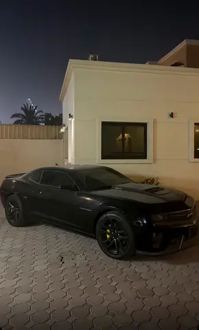 2010 Chevrolet CAMARO 照片 1