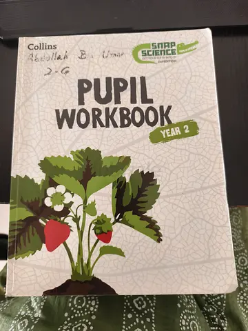 Collins Pupil Workbook Year 2 - Primary School